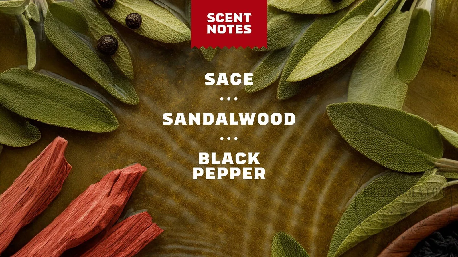 Dr. Squatch Sandalwood Summit Men's Natural Body Wash 12 Dr. Squatch Sandalwood Summit Men